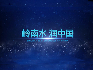 岭南股份产业片-水务篇