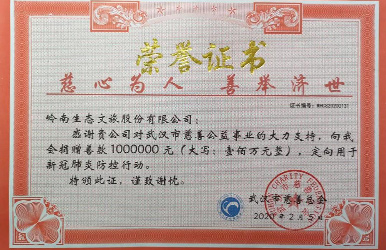 岭南股份向武汉市慈善总会捐赠人民币100万元
