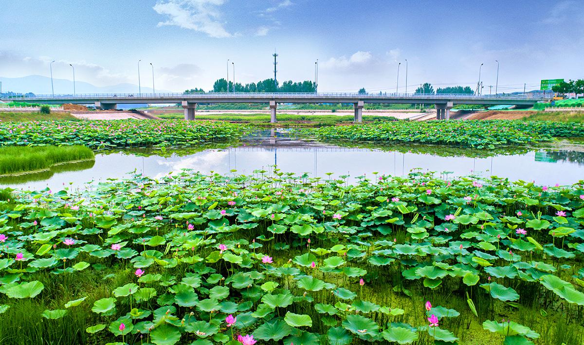 水治理