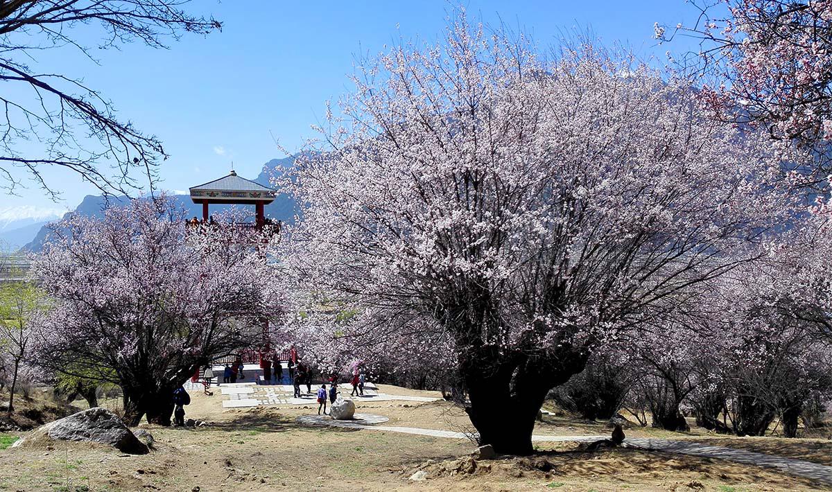 生态景观