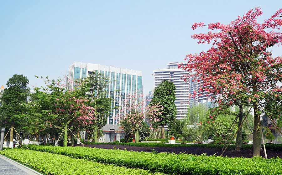 岭南设计
