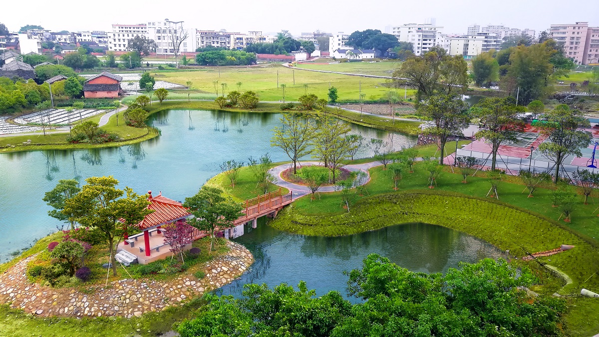 岭南股份