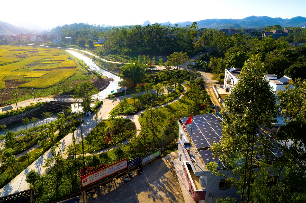 岭南股份