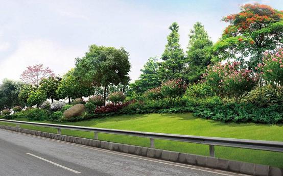 道路景观