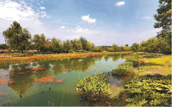 水环境治理 水环境治理