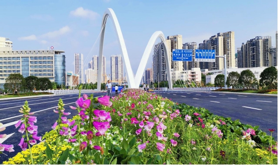 城市规划设计 城市规划设计