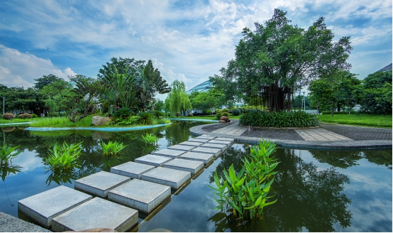 城市规划设计 城市规划设计