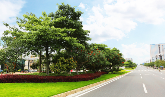 城市规划设计 城市规划设计