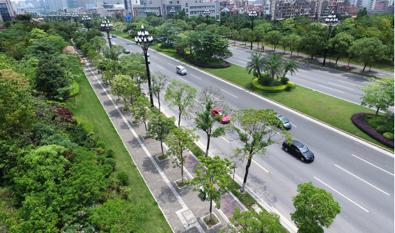 城市规划设计