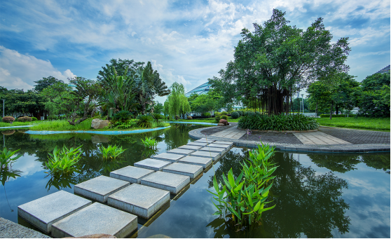 生态规划 生态规划