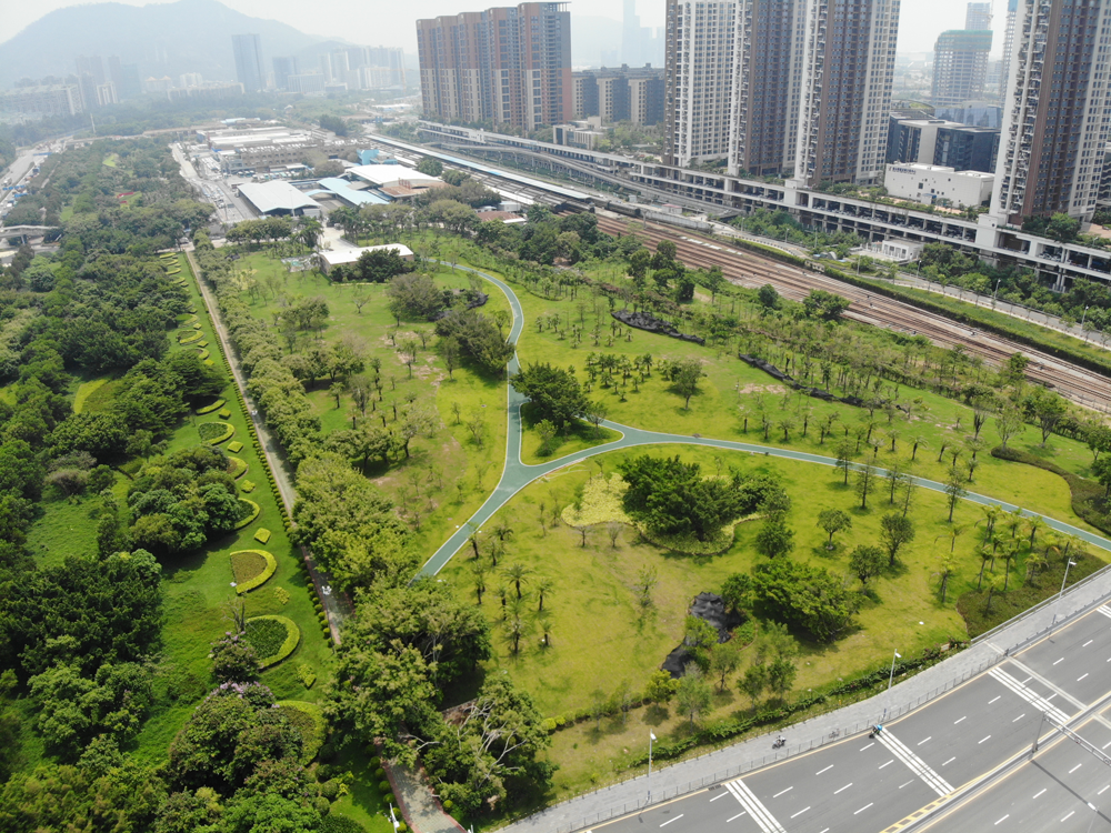深圳前海环境和绿化双提升景观工程（一标段）.png