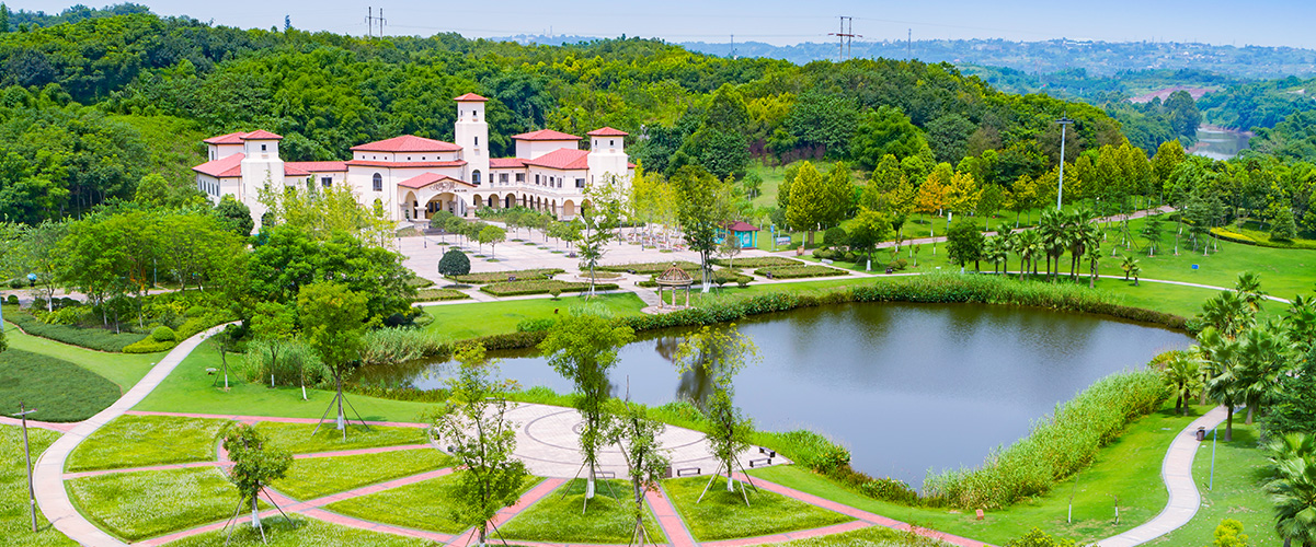 绿化养护 绿化养护