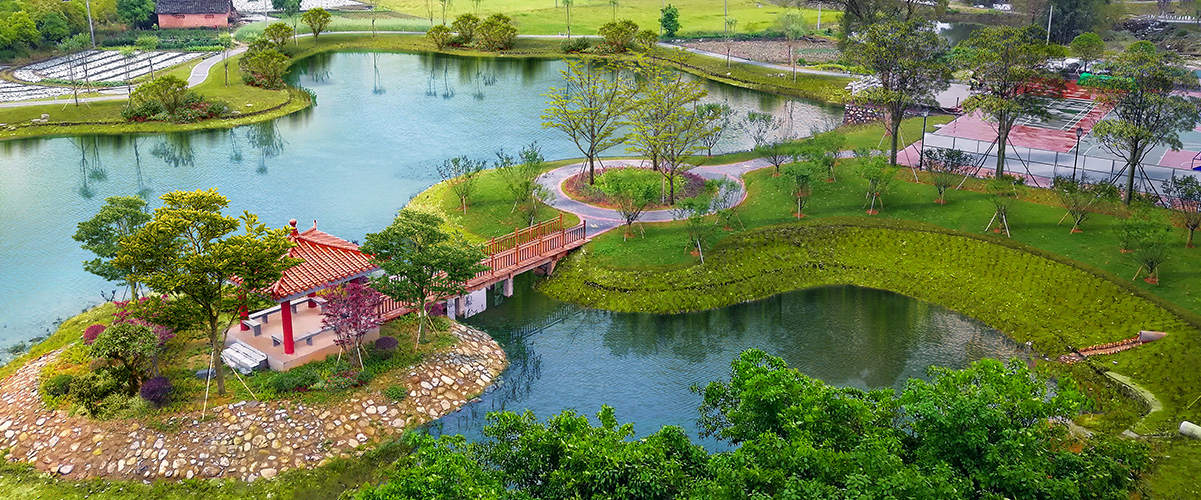 绿化养护 绿化养护