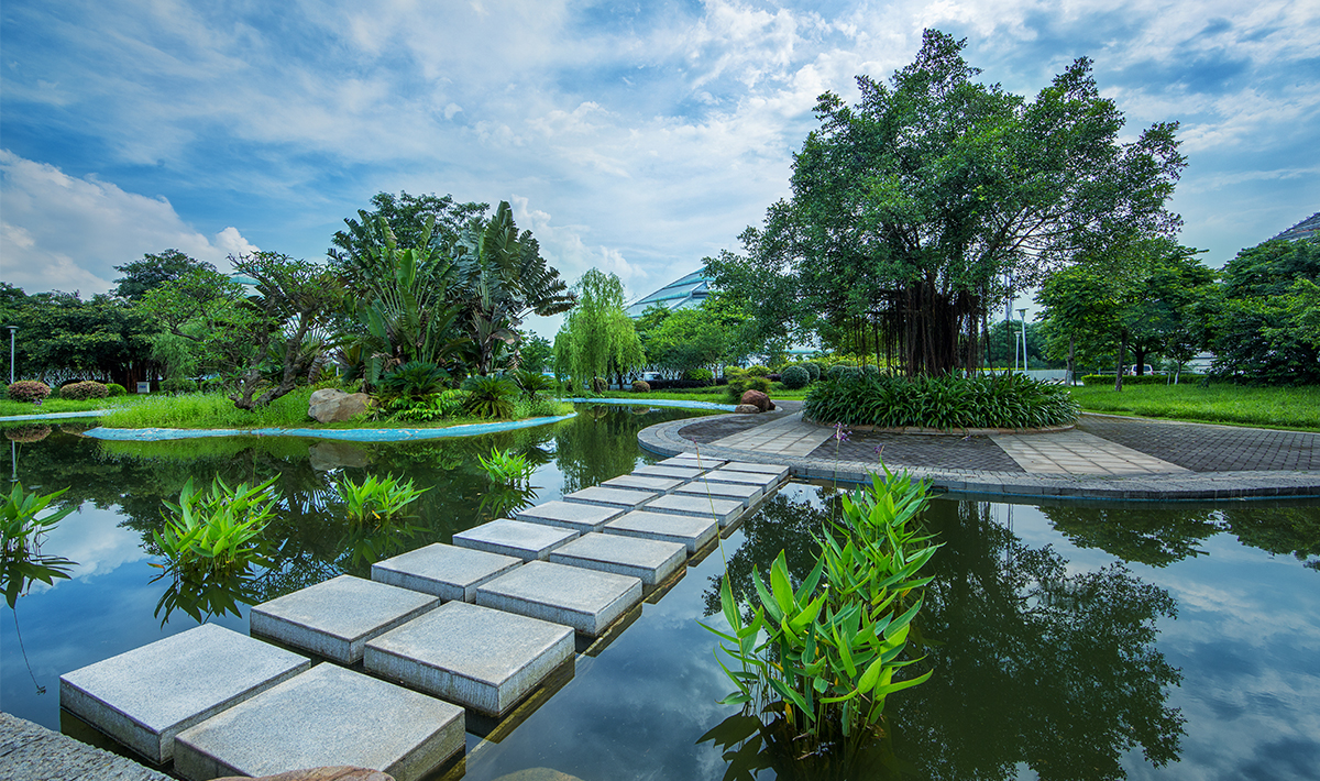 绿化养护 绿化养护