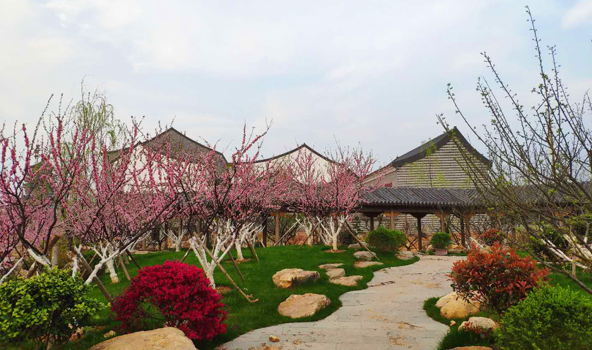 绿化养护 绿化养护