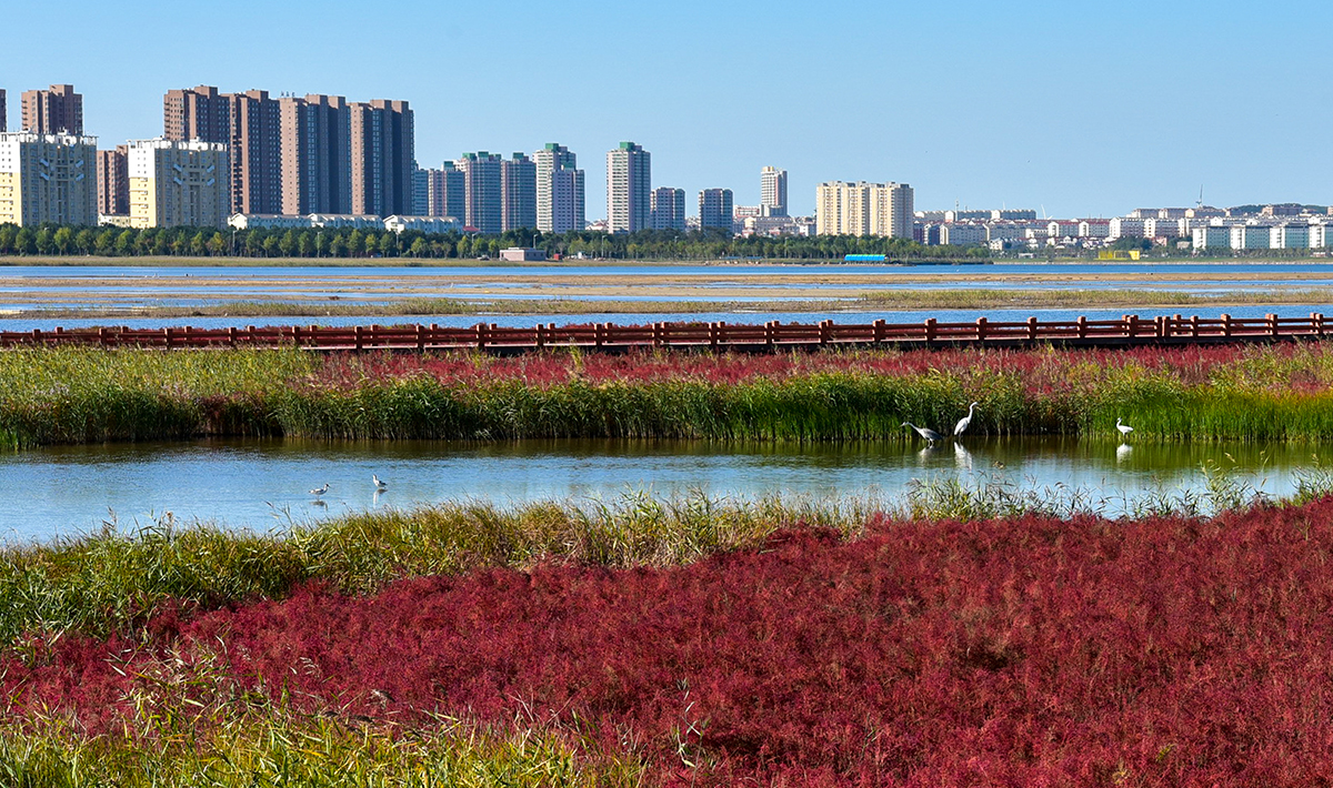 公共绿地 公共绿地