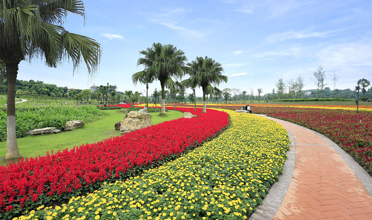 公共绿地 公共绿地