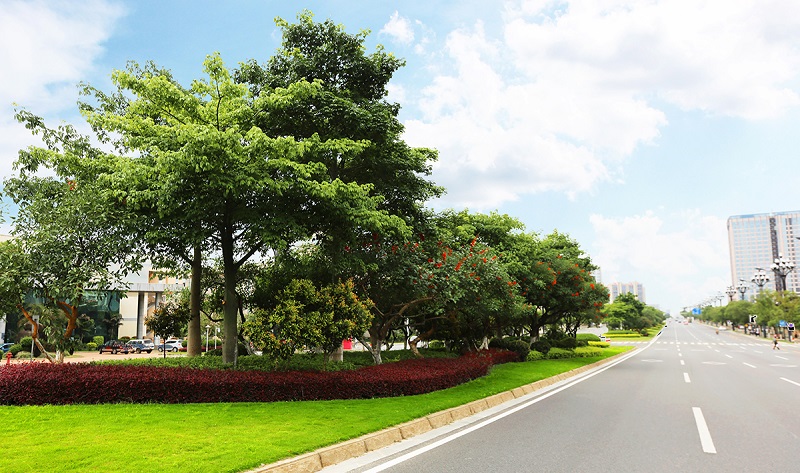 道路景观 道路景观