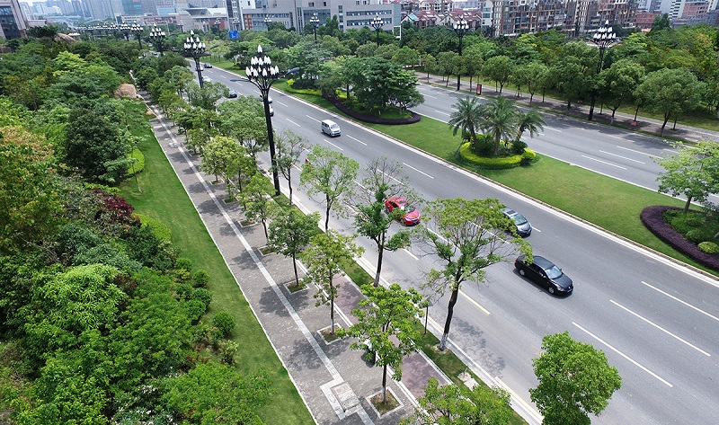 道路景观 道路景观