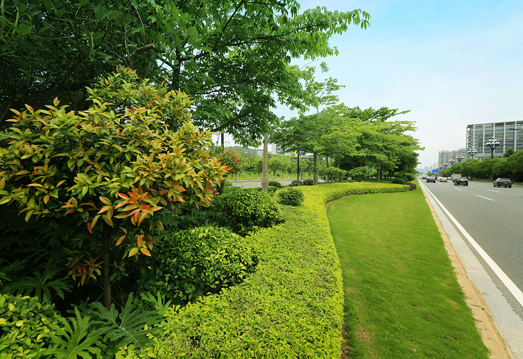 道路景观 道路景观