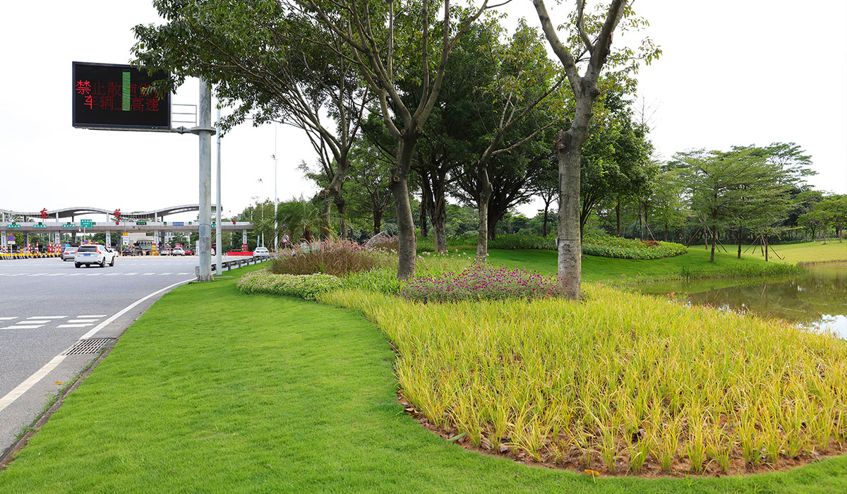 道路景观 道路景观