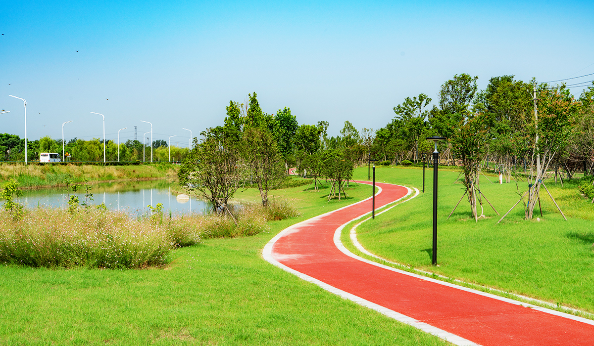 道路景观