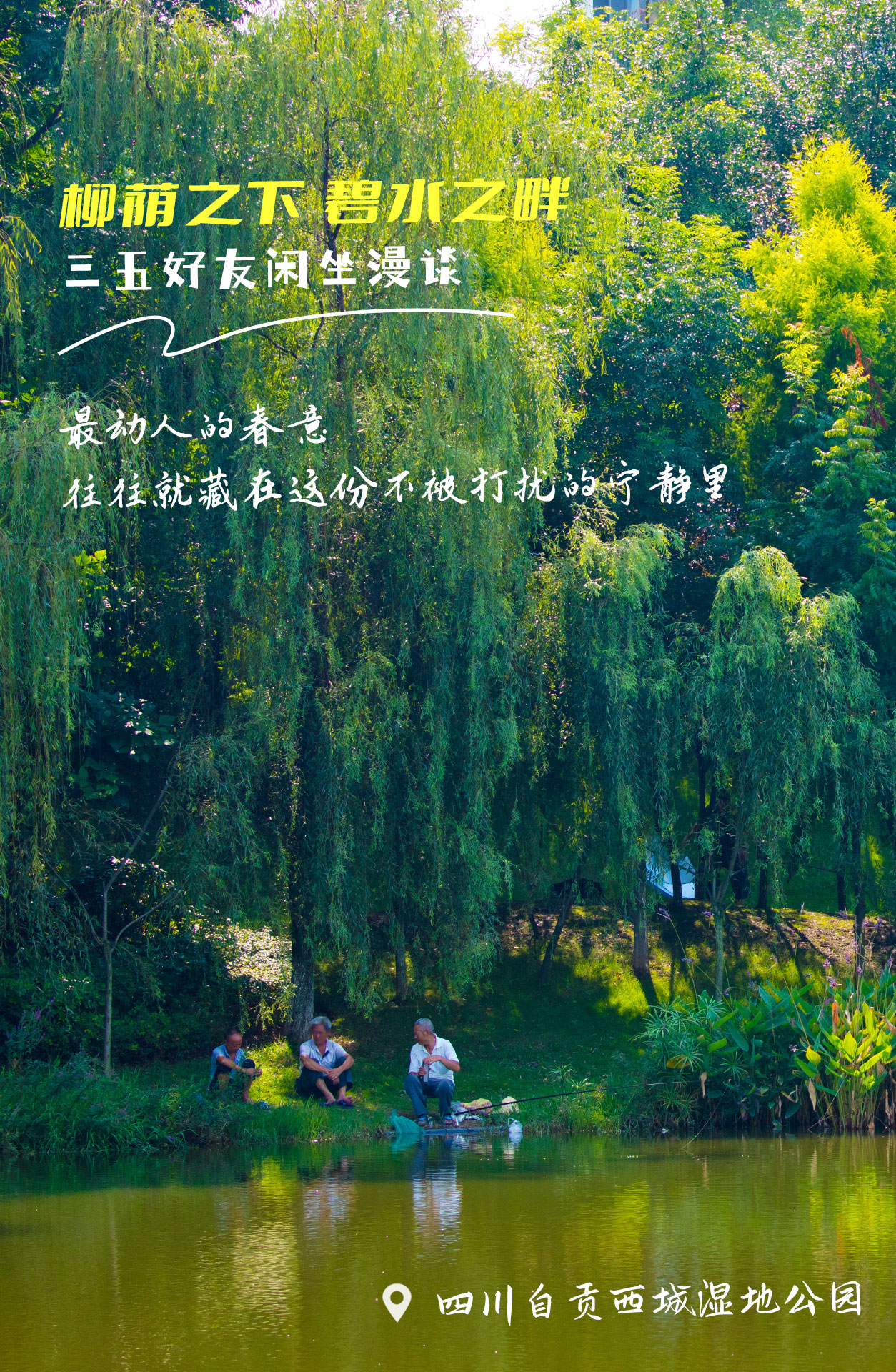 西城湿地.jpg