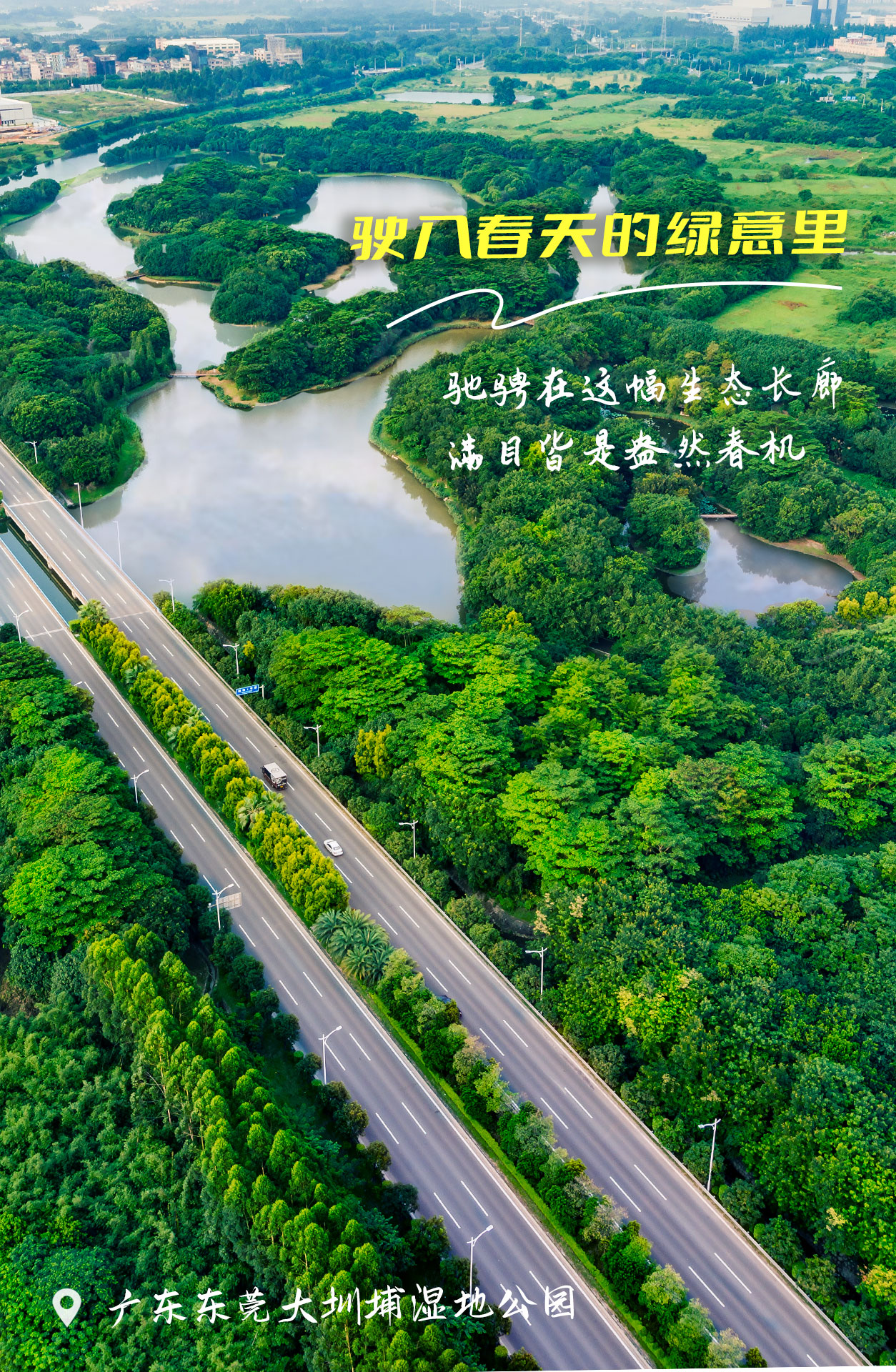 大圳埔湿地公园.jpg