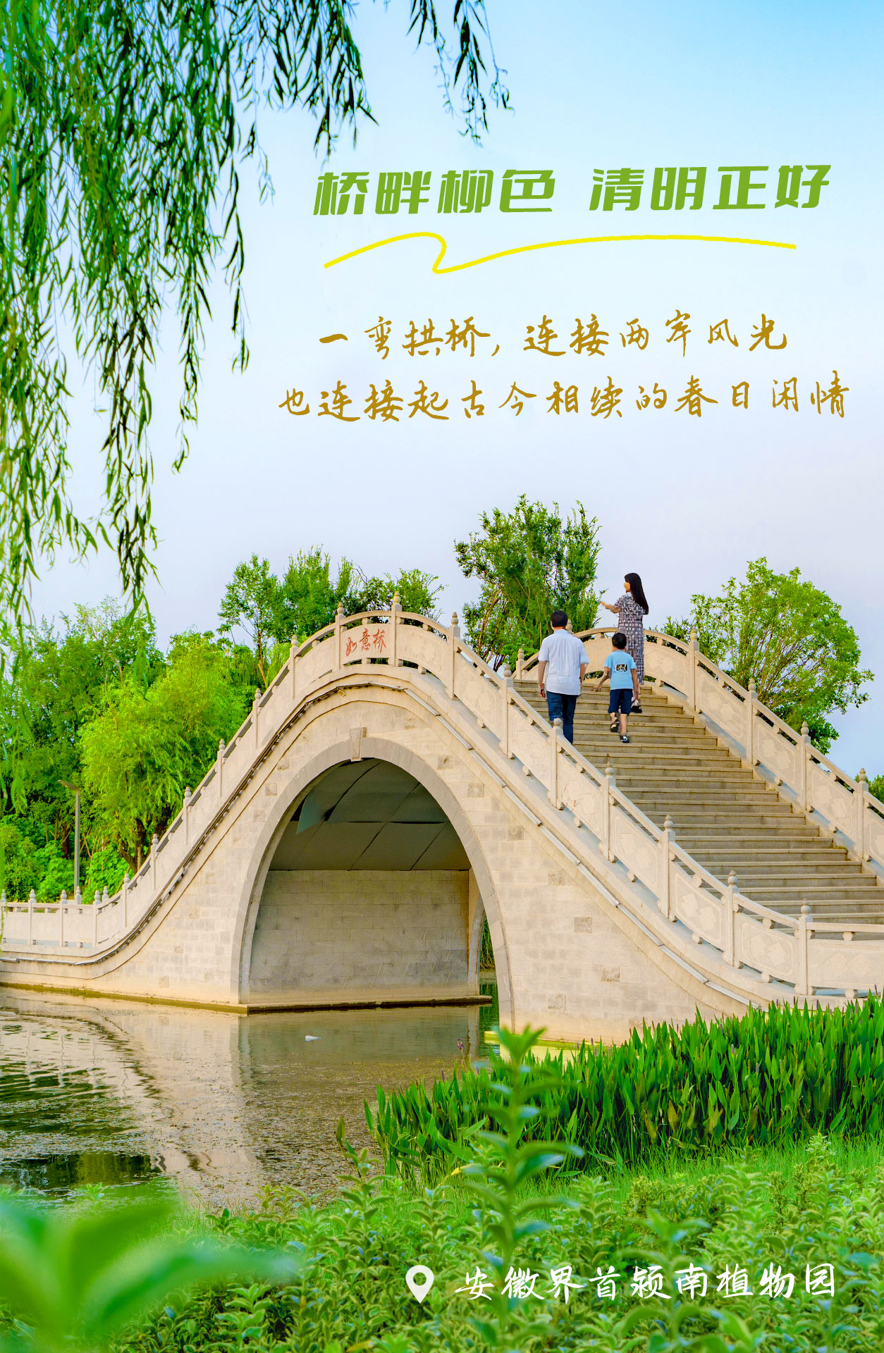 界首植物园.jpg