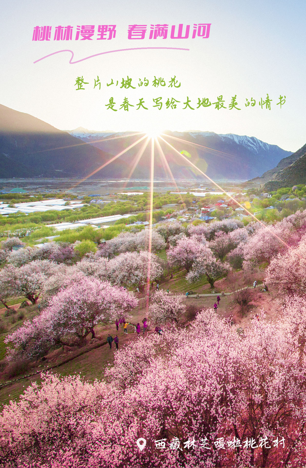 未标题-1-恢复的000.jpg
